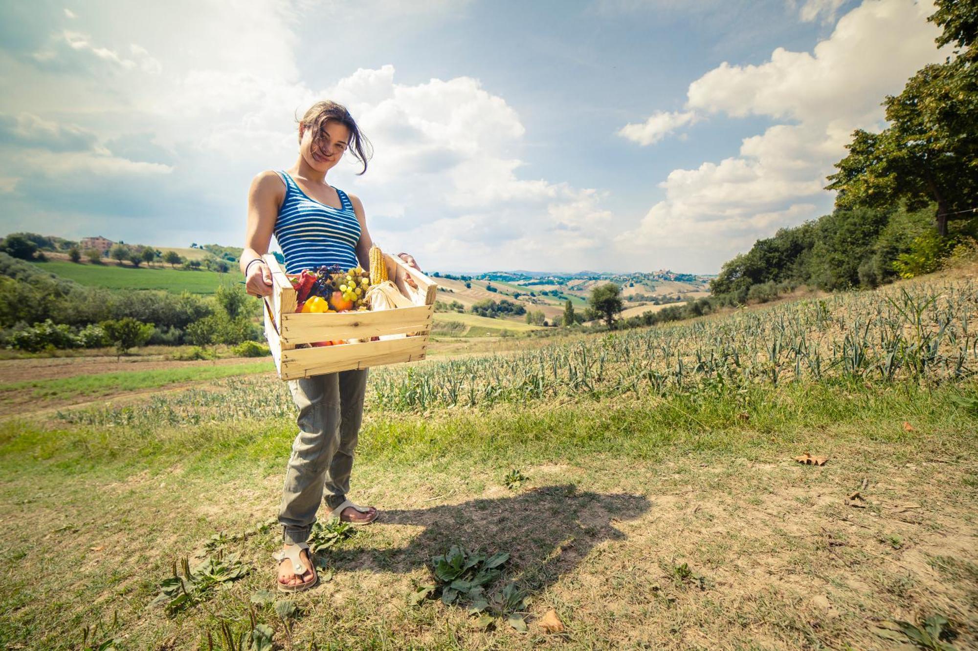 Agriturismo Fonte Carella Monte San Pietrangeli Ngoại thất bức ảnh